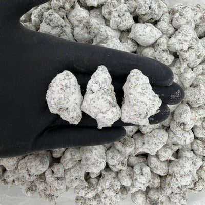 Pink Champagne Snowcaps